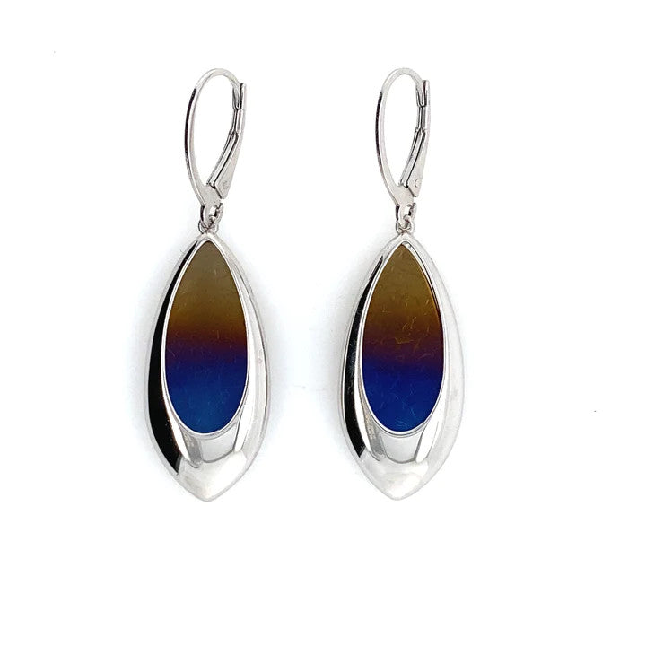 Titanium and Silver Teardrop Drop Earrings - E7035