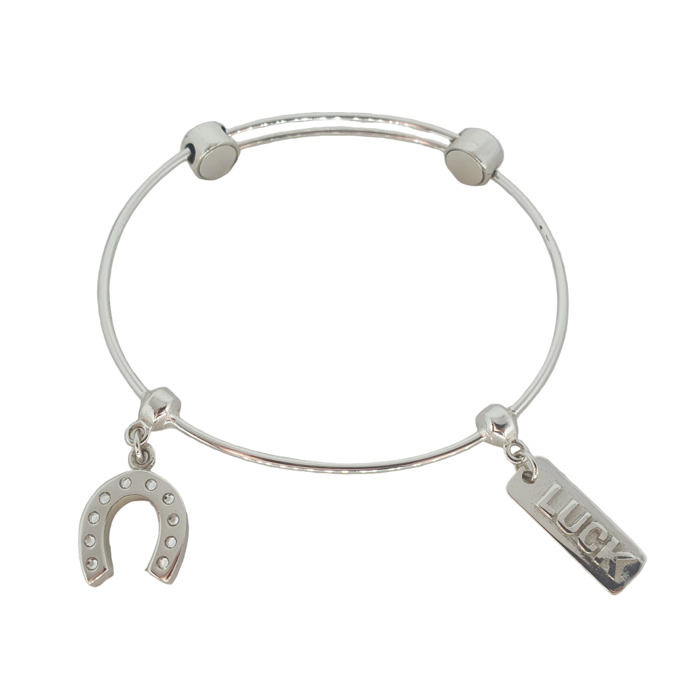 Charm Bangle - B11605S19