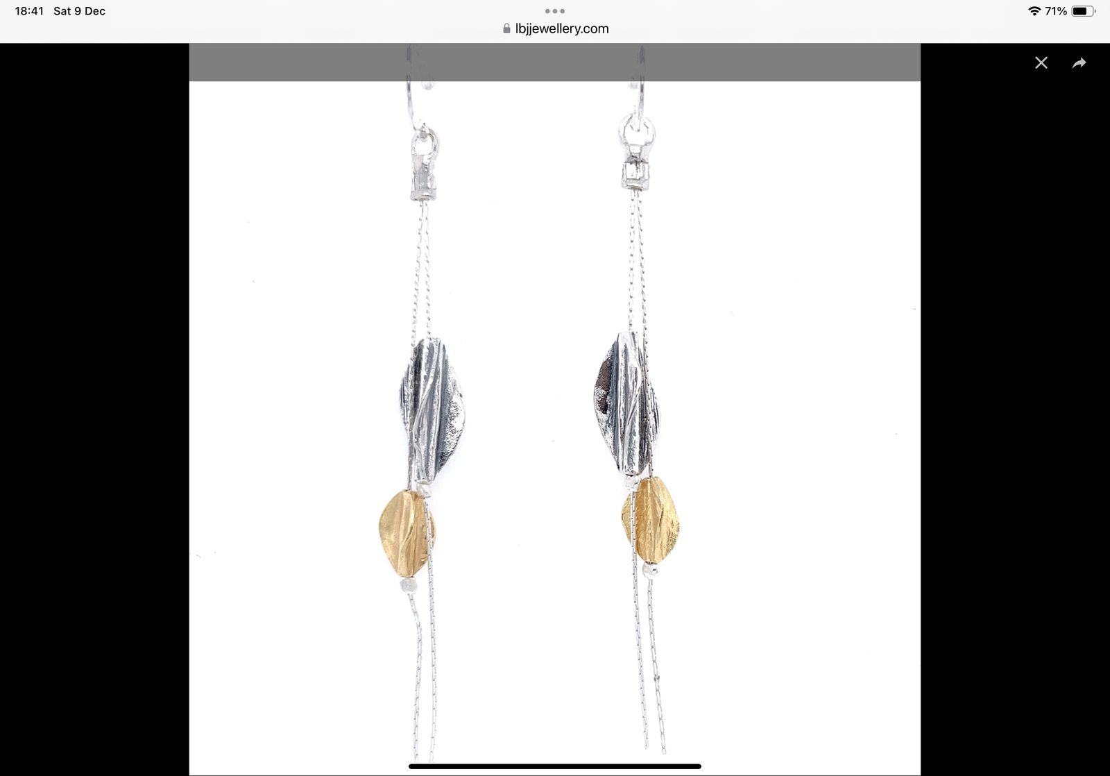 Multi colour silver Earrings