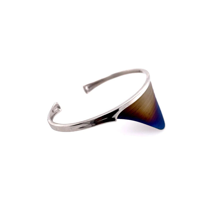 Titanium and Silver Cuff Bangle - B212