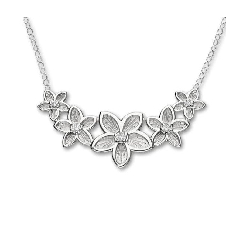 Happy Valley Sterling Silver and Zirconia Necklace -  CN39 Ortak