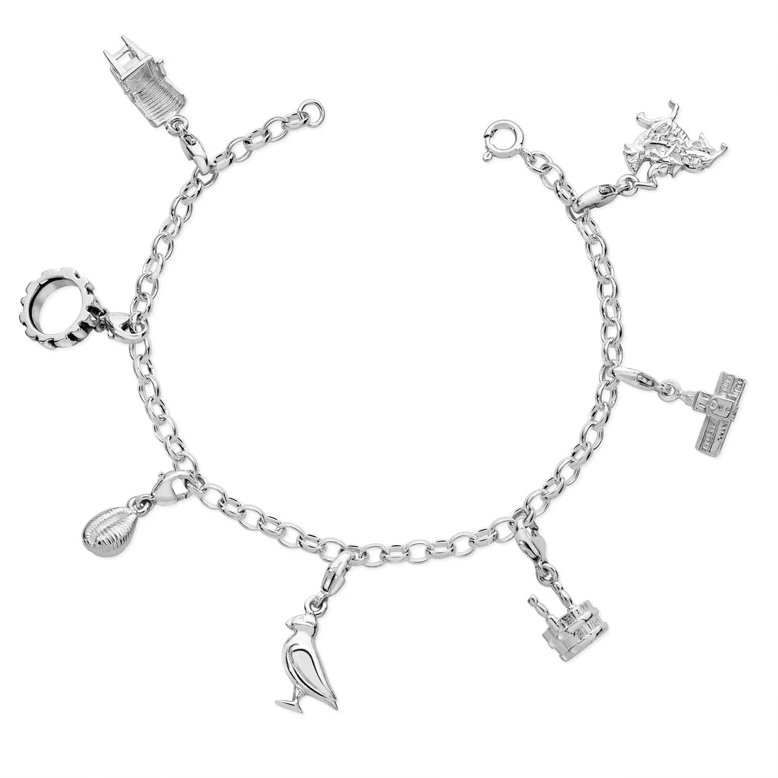 Charm Bracelet (Chain Only) Aurora