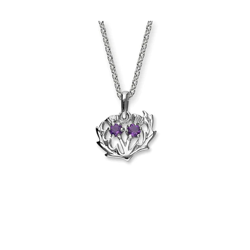 Thistles Sterling Silver Pendant With Amethyst - CP8
