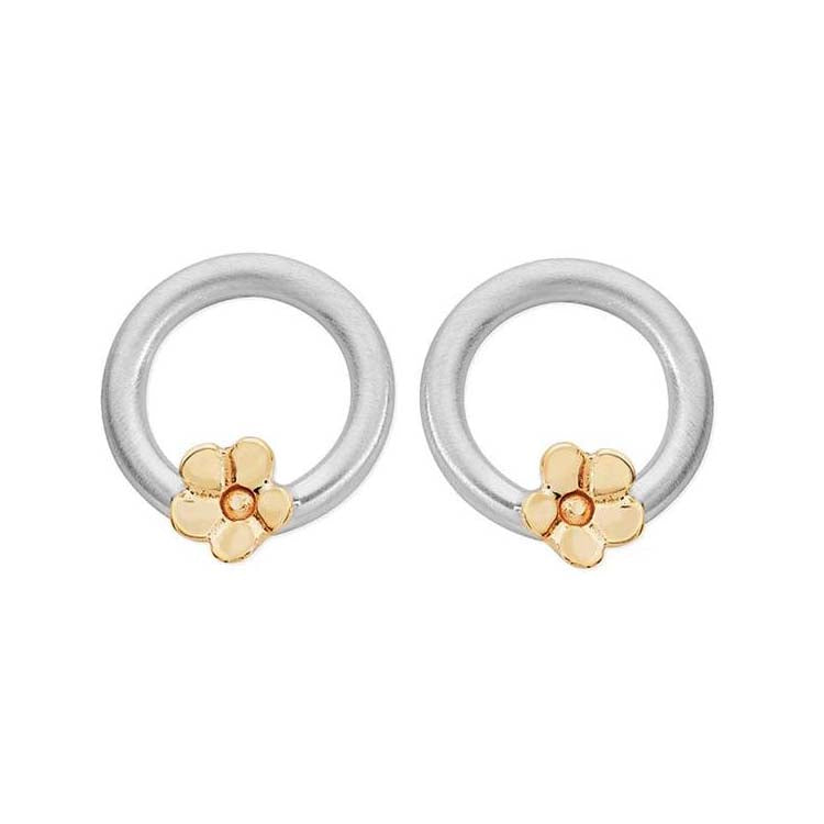 Forget Me Not Sterling Silver or 9ct Yellow Gold Earrings - 14133-1/24133-1