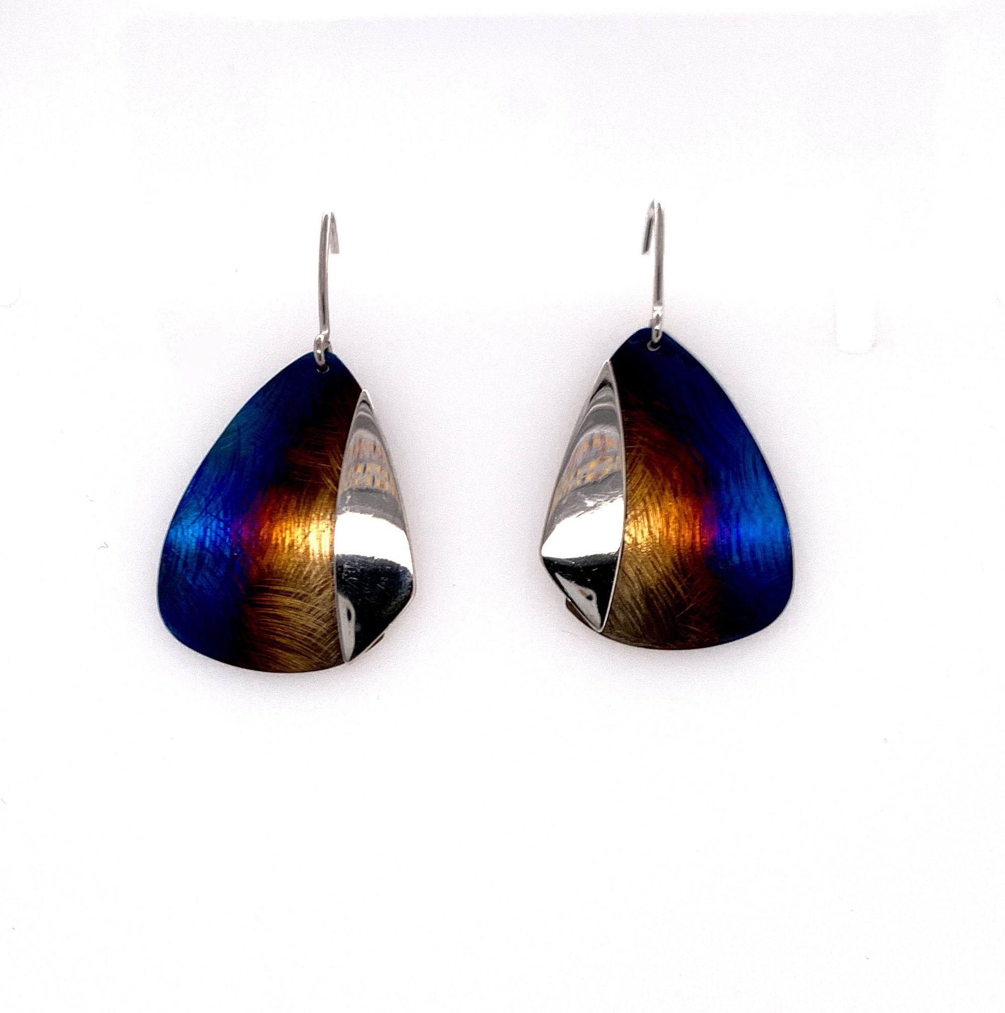 Titanium and Silver Earrings.
